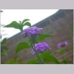 2006082281.jpg