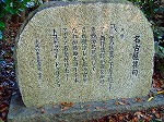 P8250010.jpg