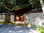 P8250033.jpg