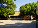 P8250046.jpg