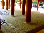 P8250057.jpg