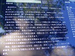 P8250071.jpg