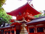 P8260010.jpg