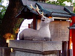 P8260012.jpg