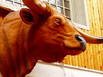 P8260024.jpg