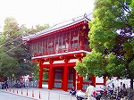 P8260037.jpg