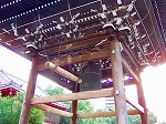 P8260045.jpg