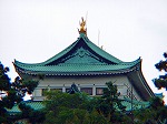 P8270111.jpg
