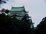 P8270116.jpg