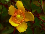 RIM00080.jpg