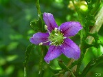 RIM00043.jpg