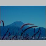 DSC06750.jpg