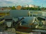 DSC06779.jpg