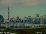 DSC06781.jpg