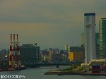 DSC06810.jpg