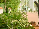 20061121k08.jpg