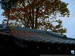 DSC06930.jpg