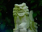 DSC06944.jpg