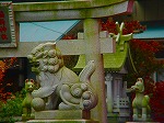 DSC06945.jpg