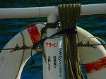 DSC07122.jpg