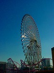 DSC07126.jpg