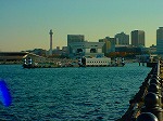 DSC07147.jpg
