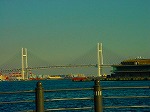 DSC07150.jpg