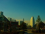 DSC07153.jpg