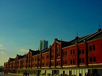 DSC07156.jpg