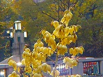 PC060037.jpg