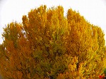 PC060063.jpg
