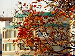 PC060069.jpg