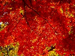 PC060072.jpg