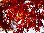 PC060077.jpg