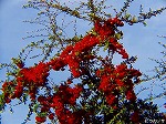 PC060088.jpg