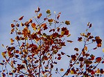 PC060094.jpg