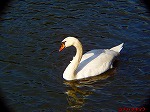 P1010049.jpg