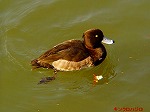P1010051.jpg