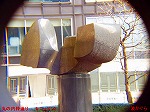 P1010065.jpg