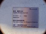 P1010072.jpg