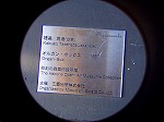 P1010079.jpg