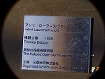 P1010083.jpg