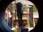P1010087.jpg
