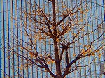 P1010103.jpg