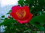 DSC07218.jpg
