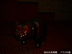 DSC07263.jpg