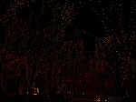 DSC07282.jpg