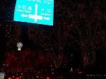 DSC07283.jpg