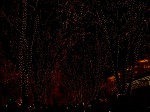DSC07284.jpg