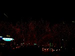 DSC07285.jpg